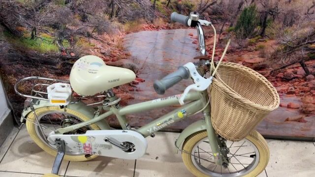 Xe Xaming  bánh 14 inch,mới 98%. Mua bán Xe đạp tại Quận Tân Bình Tp Hồ Chí Minh được đăng bởi Bbb hình 1