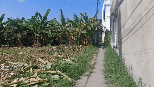 Mua bán Đất Huyện Nhà Bè Tp Hồ Chí Minh diện tích 300 m² giá 8,5 tỷ