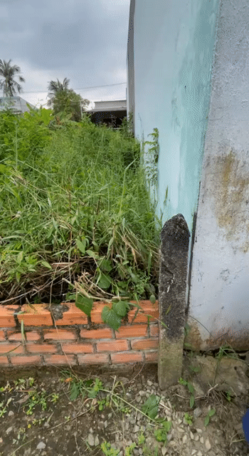 Mua bán Đất Thành phố Tân An Long An diện tích 95 m² giá 720 triệu