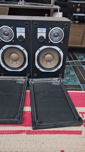 Loa Pioneer SX4G Đen Bass 18. Mua bán Tivi, Âm thanh tại Huyện Thanh Trì Hà Nội được đăng bởi minh nguyen hình 1