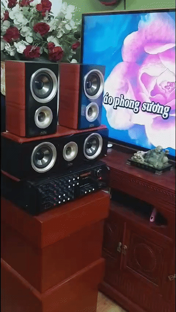 Amply TONSHIYN PA 909A Đen Mới. Mua bán Tivi, Âm thanh tại Quận Hoàng Mai Hà Nội được đăng bởi Tuấn hình 1