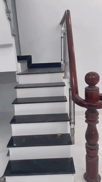Mua bán Nhà ở Quận Tân Bình Tp Hồ Chí Minh diện tích 29 m² giá 4,5 tỷ