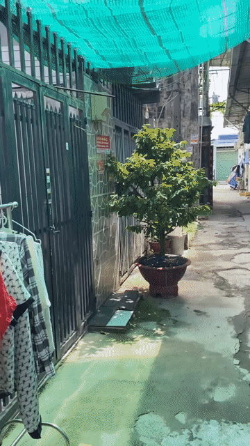 Mua bán Nhà ở Quận 12 Tp Hồ Chí Minh diện tích 50 m² giá 1,85 tỷ