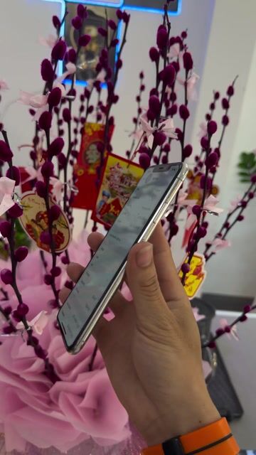 🍎 iPhone XS Max 256GB zin Có trả góp🌸. Mua bán Điện thoại tại Quận Thanh Khê Đà Nẵng được đăng bởi NOBI STORE 263 thái thị bôi hình 1