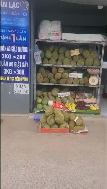 Sầu riêng Musaking Việt Nam. Mua bán Đồ ăn, thực phẩm và các loại khác tại Quận Bình Thạnh Tp Hồ Chí Minh được đăng bởi Tên chưa cung cấp hình 1