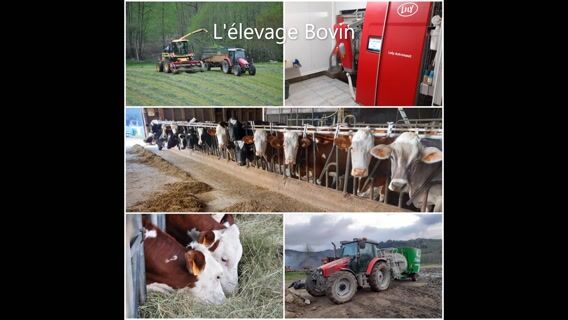 Eleveur, plus qu'un métier, une passion !