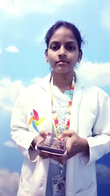 Pinnacle-Blooms-Network-7d25236d838c322dfa75f547b7a1c4c4