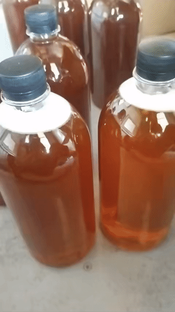 Mật ong. Mua bán Đồ ăn, thực phẩm và các loại khác tại Thành phố Phan Rang-Tháp Chàm Ninh Thuận được đăng bởi Tịnh Duong hình 1