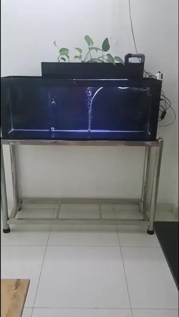 Hồ cá Kính Inox 120x40x45cm Lọc tràn. Mua bán Phụ kiện, Thức ăn, Dịch vụ tại Thành phố Thuận An Bình Dương được đăng bởi My Bach hình 1