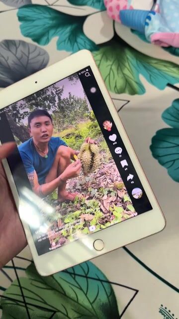 Apple iPad mini 5 Vàng hồng đã qua sử dụng. Mua bán Máy tính bảng tại Huyện Long Hồ Vĩnh Long được đăng bởi Lê Trường An hình 1