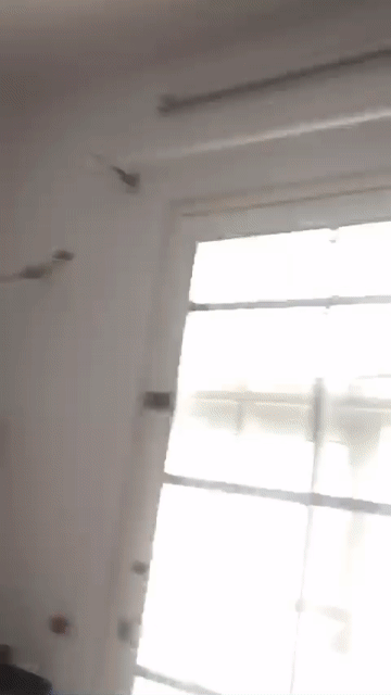 Cho thuê Nhà ở Quận Bình Thạnh Tp Hồ Chí Minh diện tích 30 m² giá 11 triệu/tháng