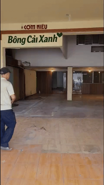 Cho thuê Văn phòng, Mặt bằng kinh doanh Thành phố Bến Tre Bến Tre diện tích 240 m² giá 11 triệu/tháng