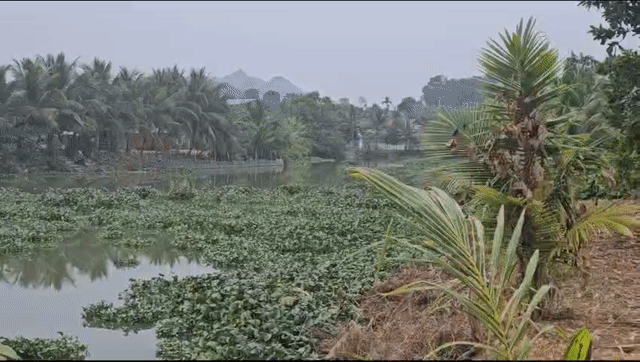 Mua bán Đất Huyện Thuỷ Nguyên Hải Phòng diện tích 900 m² giá 2,5 tỷ