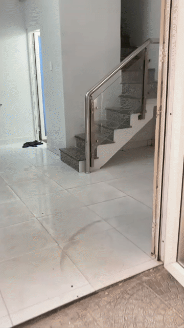 Cho thuê Nhà ở Thành phố Thủ Đức Tp Hồ Chí Minh diện tích 20 m² giá 6,5 triệu/tháng