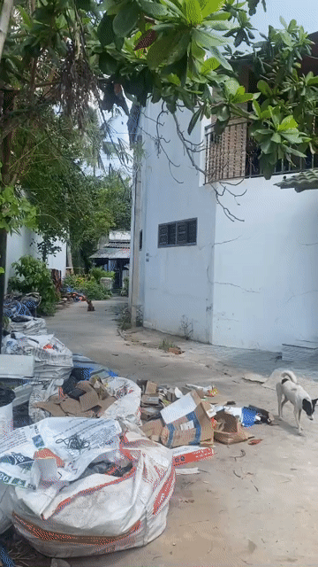 Mua bán Đất Thị xã La Gi Bình Thuận diện tích 360 m² giá 1,35 tỷ