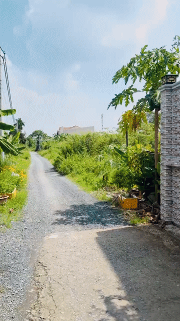 Mua bán Đất Huyện Củ Chi Tp Hồ Chí Minh diện tích 1007 m² giá 12 tỷ