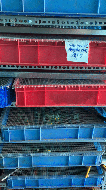 Thức ăn chim cảnh cá rồng 1kg. Mua bán Phụ kiện, Thức ăn, Dịch vụ tại Thành phố Thủ Đức Tp Hồ Chí Minh được đăng bởi Hoang Sang hình 1