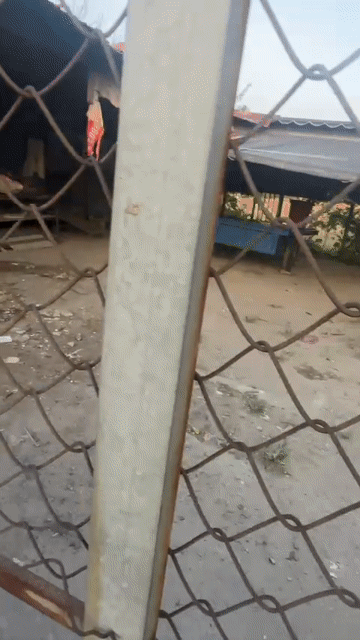 Cho thuê Đất Huyện Bình Chánh Tp Hồ Chí Minh diện tích 450 m² giá 13 triệu/tháng