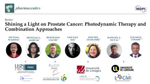 Photodynamic Therapy for Prostate Cancer