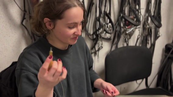 Métier de sellier harnacheur