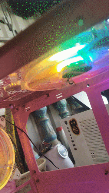 Vỏ máy tính Hồng Kèm 7 quạt RGB. Mua bán Linh kiện (RAM, Card...) tại Huyện Cần Giuộc Long An được đăng bởi ẮC QUY TRÍ LINH  hình 1
