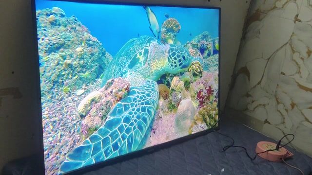 trả nhà dư tivi Samsung 50in đời mới mua gần 10tr. Mua bán Tivi, Âm thanh tại Quận 3 Tp Hồ Chí Minh được đăng bởi dịch vụ ráy tai  hình 1