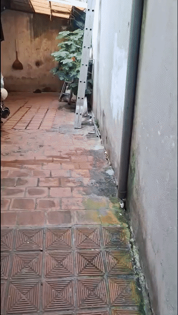 Cho thuê Phòng trọ Quận Tây Hồ Hà Nội diện tích 30 m² giá 2,4 triệu/tháng
