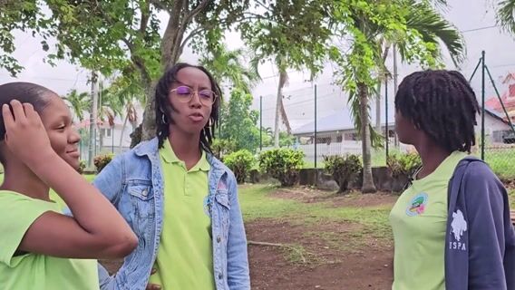 Bobby et la fée Sylda