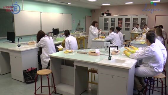 Le BAC S SVT au lycée Paul Langevin de Beauvais