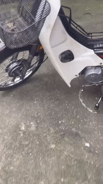 Dream Thái Lùn Honda biển số Hà Nội. Mua bán Xe máy tại Huyện Thanh Trì Hà Nội được đăng bởi cong phu hình 1