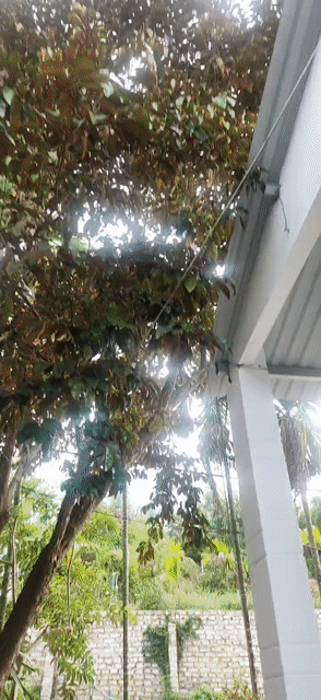 Cho thuê Nhà ở Huyện Hòa Vang Đà Nẵng diện tích 125 m² giá 2,3 triệu/tháng