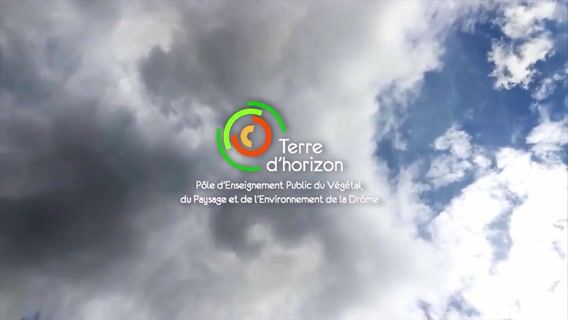 Rénovation de l'espace Volute