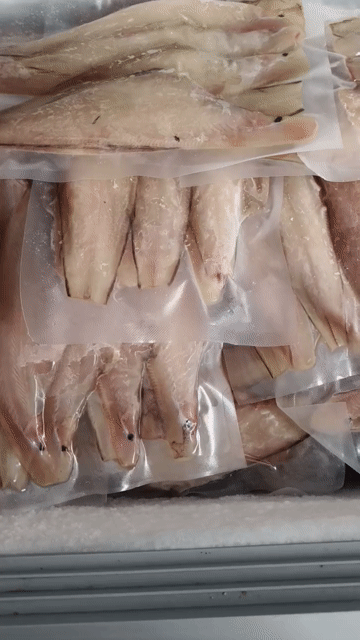 Khô cá lưỡi trâu 1 nắng. Mua bán Đồ ăn, thực phẩm và các loại khác tại Quận Tân Phú Tp Hồ Chí Minh được đăng bởi Nguyễn Trang hình 1