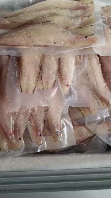 Khô cá lưỡi trâu 1 nắng. Mua bán Đồ ăn, thực phẩm và các loại khác tại Quận Tân Phú Tp Hồ Chí Minh được đăng bởi Nguyễn Trang hình 1