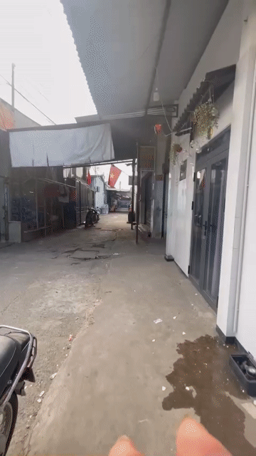 Cho thuê Nhà ở Thành phố Biên Hòa Đồng Nai diện tích 15 m² giá 4 triệu/tháng