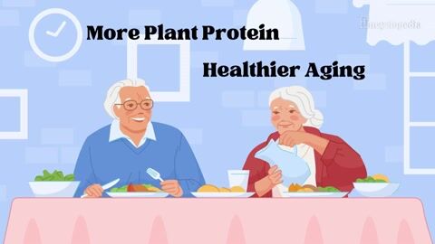 Harvard Says: More Plant Protein = 46% Healthier Aging!
