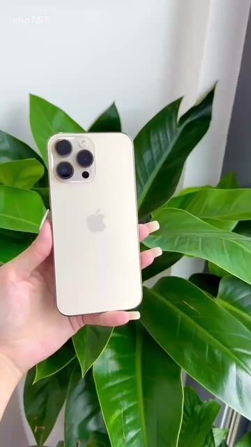 14 ProMax VN máy zin. Trả góp đưa trước 1tr7.. Mua bán Điện thoại tại Thành phố Mỹ Tho Tiền Giang được đăng bởi Hoàng Thành Apple hình 1