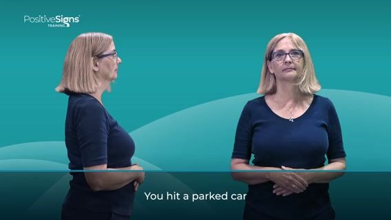 You Hit A Parked Car