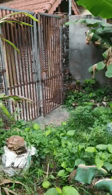 Mua bán Đất Thị xã Sơn Tây Hà Nội diện tích 269 m² giá 4,3 tỷ