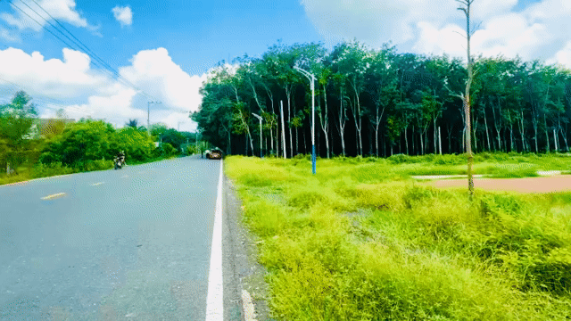 Mua bán Đất Huyện Chơn Thành Bình Phước diện tích 200 m² giá 355 triệu