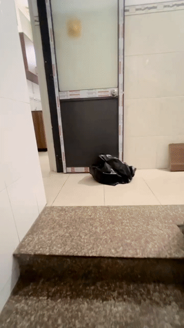 Cho thuê Căn hộ Chung cư Quận Tân Phú Tp Hồ Chí Minh diện tích 50 m² giá 6,5 triệu/tháng