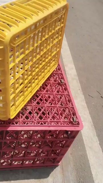 LÒNG BẮT GÀ VỊT. Mua bán Phụ kiện, Thức ăn, Dịch vụ tại Thị xã Tân Uyên Bình Dương được đăng bởi ANHTACO  hình 1