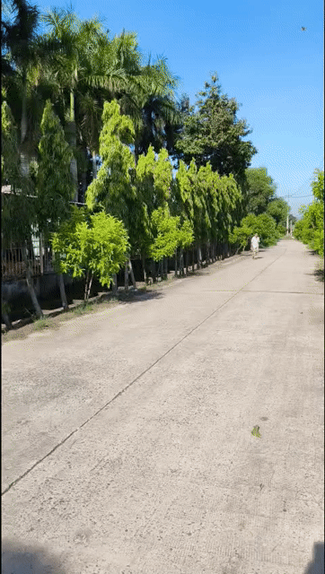 Mua bán Văn phòng, Mặt bằng kinh doanh Huyện Củ Chi Tp Hồ Chí Minh diện tích 11000 m² giá 35 tỷ
