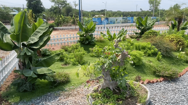 Mua bán Đất Huyện Chơn Thành Bình Phước diện tích 200 m² giá 578 triệu