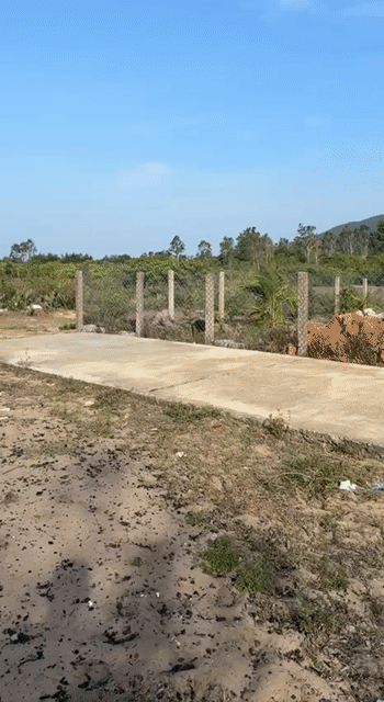 Mua bán Đất Thị xã Đông Hòa Phú Yên diện tích 1731.8 m² giá 5,5 tỷ