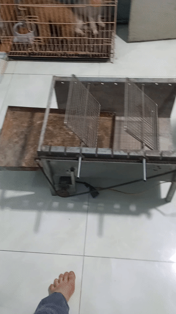 Lò nướng than tự động quay kim loại. Mua bán Bếp, lò, đồ điện nhà bếp tại Quận Bình Tân Tp Hồ Chí Minh được đăng bởi A Thai hình 1