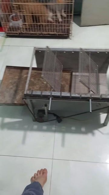 Lò nướng than tự động quay kim loại. Mua bán Bếp, lò, đồ điện nhà bếp tại Quận Bình Tân Tp Hồ Chí Minh được đăng bởi A Thai hình 1