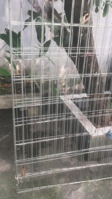Chuồng gà kẽm mới 1m5x1m2. Mua bán Phụ kiện, Thức ăn, Dịch vụ tại Thành phố Thủ Đức Tp Hồ Chí Minh được đăng bởi vu hoang hình 1