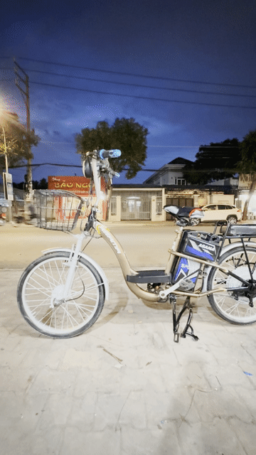 Xe đạp điện Asama Nâu Bạc. Mua bán Xe đạp tại Thành phố Thủ Dầu Một Bình Dương được đăng bởi Như ý kho xưởng miền nam hình 1