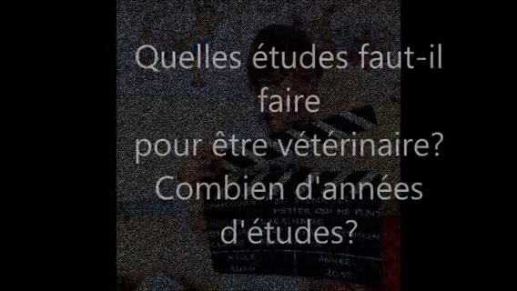 Vétérinaire, plus qu'un métier, une passion au service des animaux.